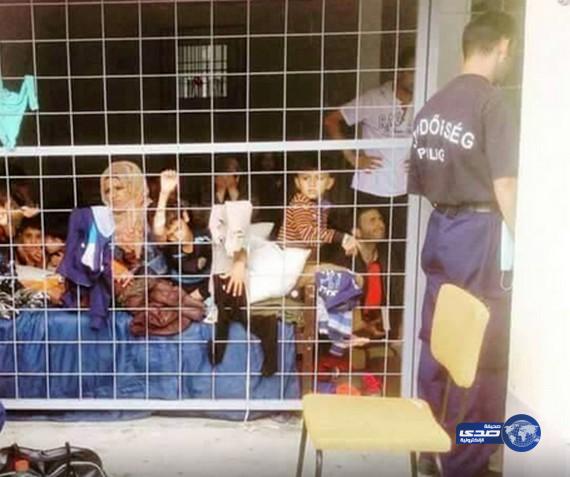 بالصور:لاجئون سوريون محتجزون في أقفاص بالمجر