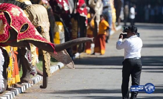 فيل يقتل مصوراً صحفياً في سريلانكا