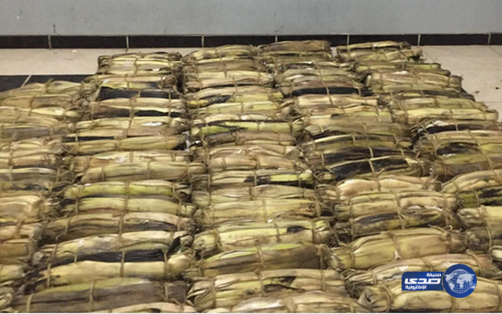 حرس حدود عسير يحبط عملية تهريب “قات”