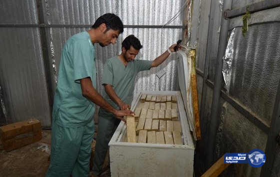 مصادرة 20 طن من الدقيق غير الصالح بمكة