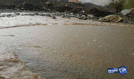 أمطار غزير ة على محافظتي المخواة وقلوة بالباحة