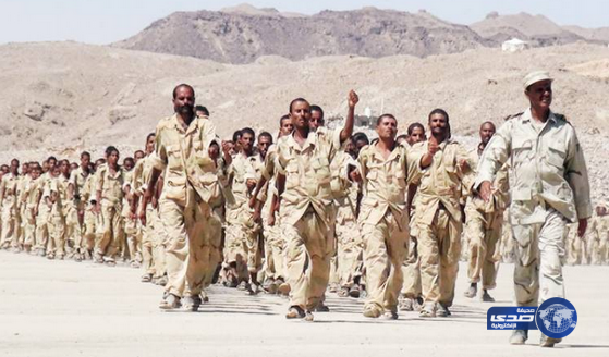 مقتل وإصابة 59 من ميلشيا الحوثي والمخلوع صالح في تعز