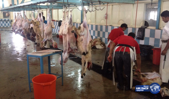امانة نجران تقوم بجولات تفتيشية على جميع المسالخ ونقاط الذبح والمطابخ داخل نجر‎