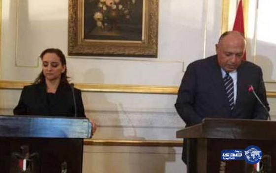 بالفيديو:سقطة تكشف عدم فهم زير خارجية مصر لبيان كان يتلوه بالانجليزية