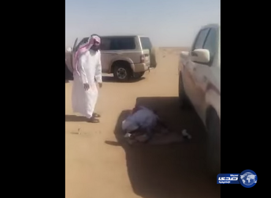 مصاب ملقى على الأرض بعد صدمه إبلاً سائبة بالقصيم(فيديو)