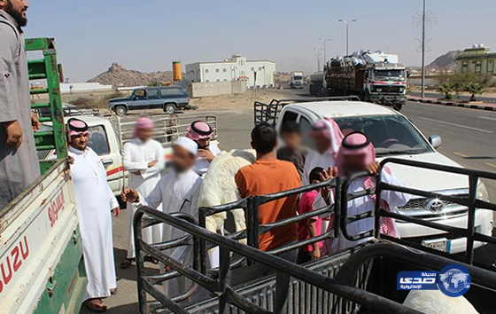 جمعية البر بوادي بن هشبل توزع 20 أضحية للأسر الأكثر حاجة ( صور )‎