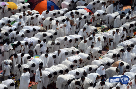 صلاة الظهر والعصر في عرفات