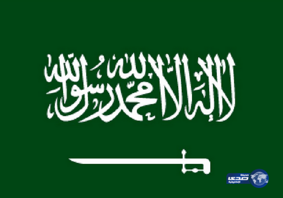 القحطاني : اليوم الوطني مناسبة تاريخية غالية على قلوبنا