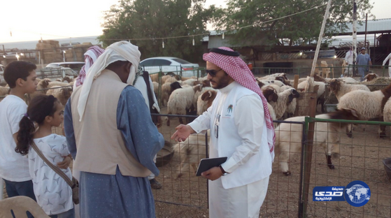 جولات تفتيشية لتعقب مخالفي الإقامة ونظام العمل في أسواق ماشية الرياض