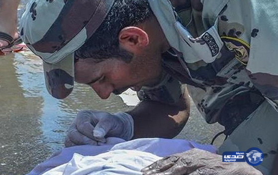 أحد منسوبي قوات الطوارئ يلقن حاجاً آسيوياً سقط في تدافع “منى”الشهادة (صور)