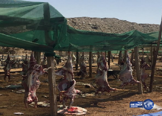 أمانة العاصمة المقدسة تكثف الرقابة على باعة اللحوم