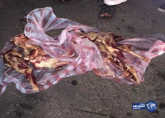صور: إتلاف 137 رأس ماشية غير صالحة للاستخدام الآدمي بـ جدة
