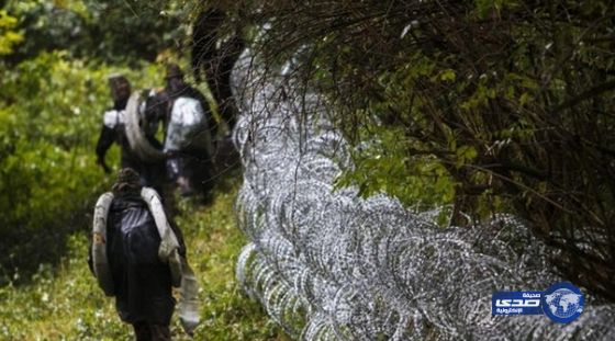 دعماً للاجئين.. شركات ألمانية ترفض بيع أسلاك شائكة للمجر
