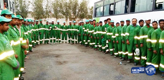 أمانة المدينة تجند 77 عاملاً في العيد لمكافحة آفات الصحة العامة