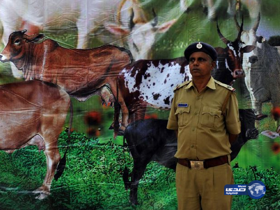 ضرب رجل هندي حتى الموت بعد اتهامه بأكل لحم البقر