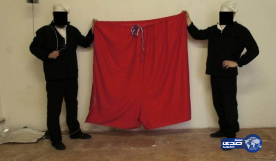 نشطاء يرفعون “سروالا” بدلا من العلم فوق قصر الرئاسة في التشيك