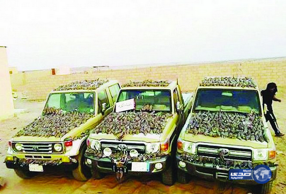 إبادة جماعية للطيور المهاجرة في الشمال