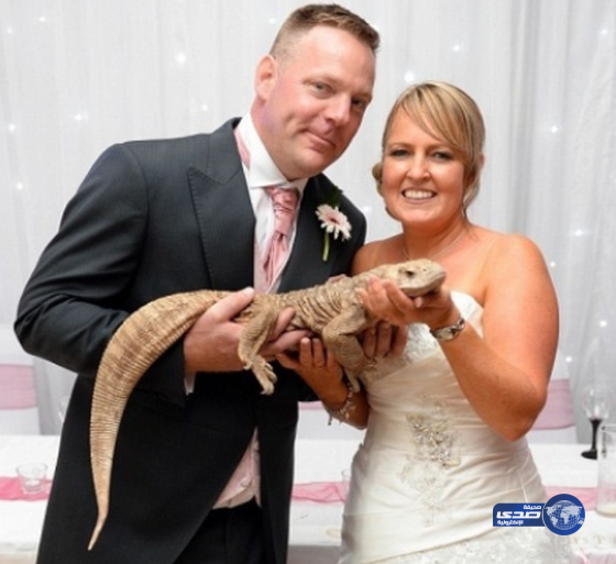عروسان يدعوان 30 حيواناً إلى حفل زفافهما(فيديو)