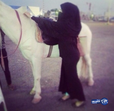 هذا حصان ولا كديش؟..