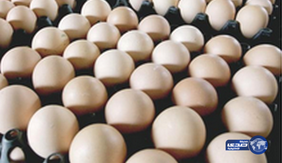 ارتفاع أسعار البيض بنسبة 29%