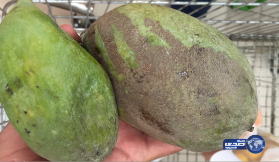 امانة نجران تتلف الفواكه المتعفنة وتطبق نظام الغرامات