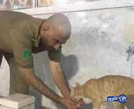وجبة غذائية مجانية لمدة عام لرجل أمن سقَى «قطة» في جدة