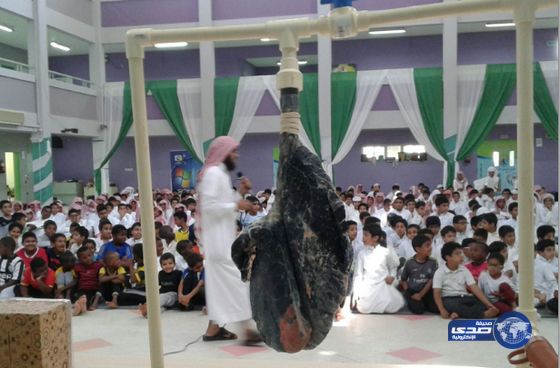 كفى تنفذ برنامجا توعويا عن أضرار التدخين في المدارس‎