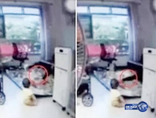 بالفيديو .. خادمة تركل طفلة في الثانية من عمرها