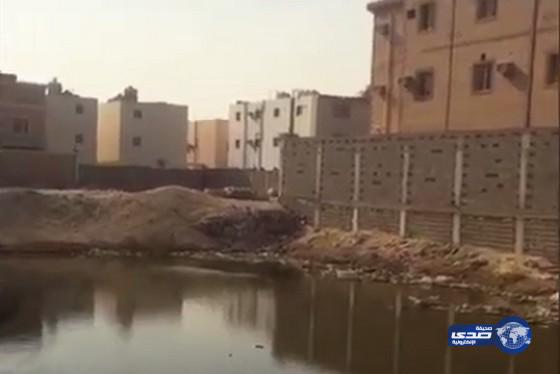أمانة الشرقية : ” مستنقعات ” ضاحية الملك فهد سببها ارتفاع منسوب ” الجوفية “