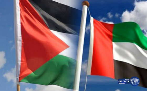 الإمارات تدعو إلى خطة عربية بديلة تدعم فلسطين