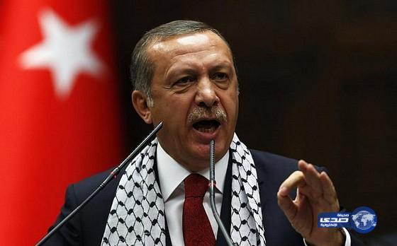 أردوغان: سنضرب أي كيانات إرهابية تتشكل في شمال سورية