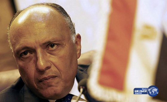 الخارجية المصرية: لم نجد القدر الكافي من تعاون الدول في مواجهة الإرهاب