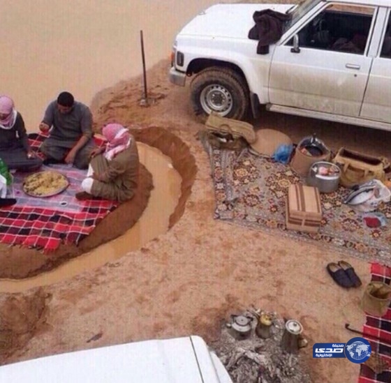 كاشتين في جزيره!..