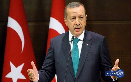 أردوغان متراجعا: لم نكن نعلم أن المقاتلة روسية