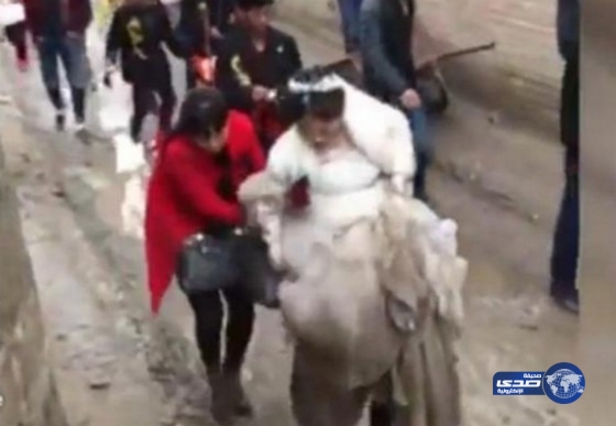 بالفيديو: عروس تفشلت ليلة زواجها