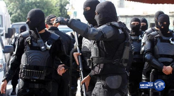 إلقاء القبض على عناصر إرهابية بجنوب تونس
