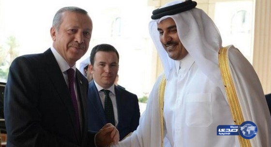اردوغان يستنجد بقطر من العقوبات الروسية