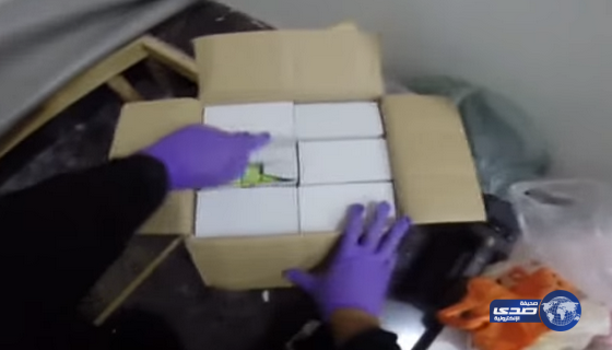 الداخلية  البحرينيه تعلن القبض على تنظيم إرهابي مرتبط بإيران (فيديو)