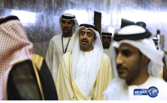 وزير خارجية الإمارات: إسقاط تركيا للمقاتلة الروسية عمل إرهابي