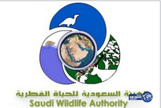 وظائف عن طريق النقل بالهيئة السعودية للحياة الفطرية