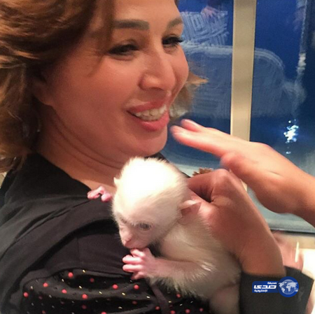 إلهام شاهين..حنونه مع القرد!..