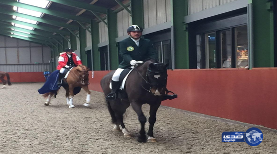 الفارس شربتلي يتأهل الى أولمبياد البرازيل