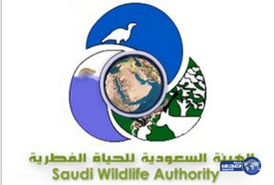 الهيئة السعودية الحياة الفطرية تعلن عن وظائف على بند الأجور والمستخدمين