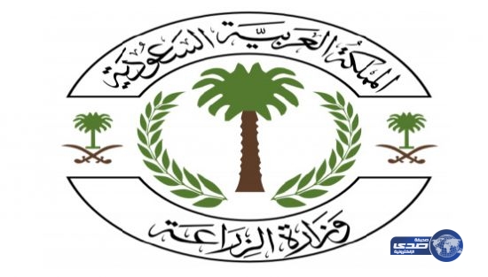 «الزراعة» ترفع الحظر عن استيراد الخيل من الأردن