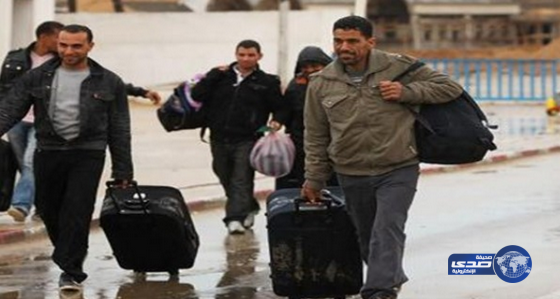 البعثة المصرية في دمشق تنجح في استعادة 24 مصرياً عالقاً في سوريا
