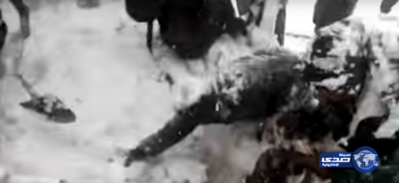 بالفيديو.. انتشال جندى هندى حيا بعد أن ظل مدفونا تحت الجليد 6 أيام