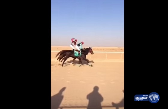 بالفيديو.. خيّال يضرب آخر بعصا أثناء سباق الفروسية في القريات