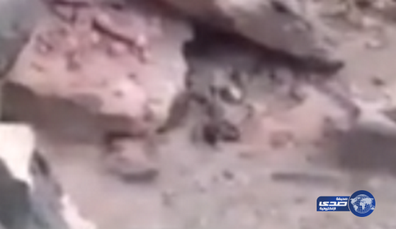 بالفيديو:جندي سعودي لحوثي مصاب: “اطلع عشان نعالجك”