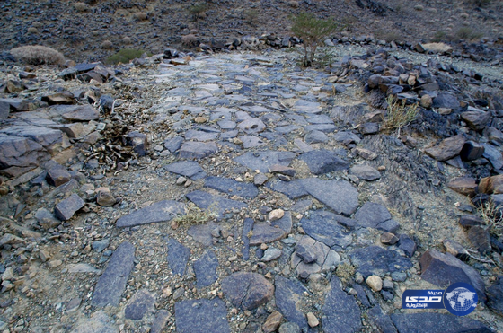 إنجاز مشروع مسح وتوثيق وتبتير ٣٧ موقع على  طريق الفيل التاريخي