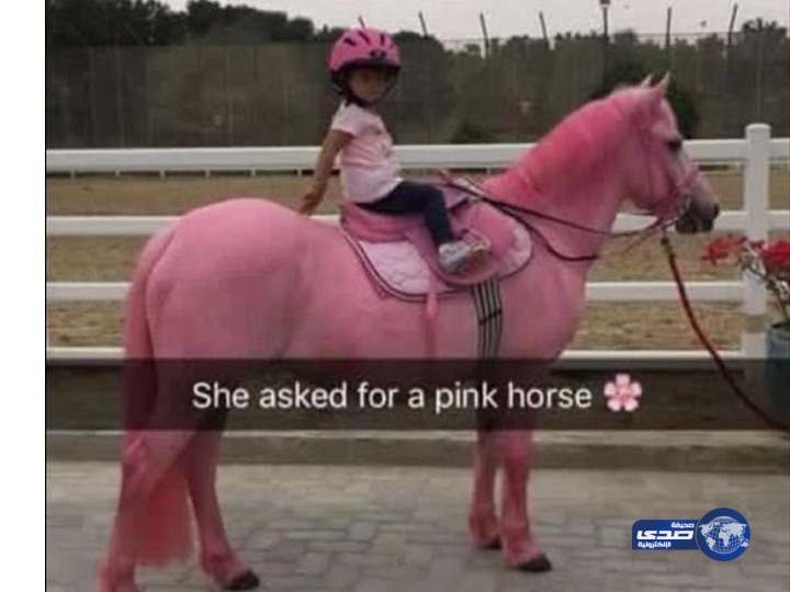 ماهو سر الحصان “الوردي” الذي ظهر في أبوظبي !